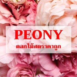 PEONYFLORIST