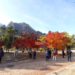 Seoraksan National park