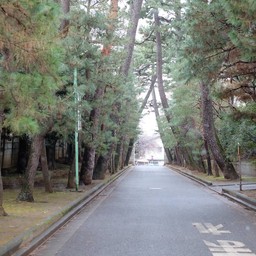 Gotokuji temple