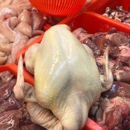 ไก่ตัวสด