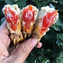 กุ้งเผา ชินเขต