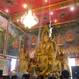 วัดดอนไพล