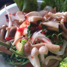 ยำไก่ยอ