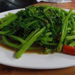 ผักบุ้งไฟแดง