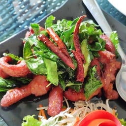 แมลงปอฮอล แอนด์ การ์เด้น