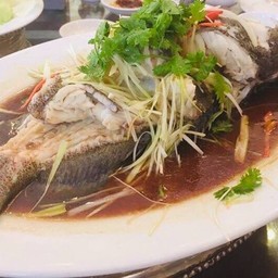 ปลาเก๋านึ่งซีอิ๋ว