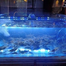 ลุงหม่อนกุ้งย่าง อาหารตามสั่ง แยกชินมณี