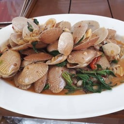 ผัดหอยลายใหญ่