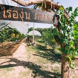 ไร่องุ่นภัทรกร