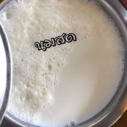 นก กาแฟโบราณ&นมสด