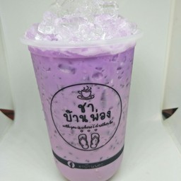 เผือกนมสด
