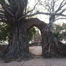 อุโมงค์แห่งกาลเวลา