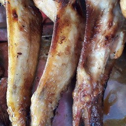 ปีกไก่