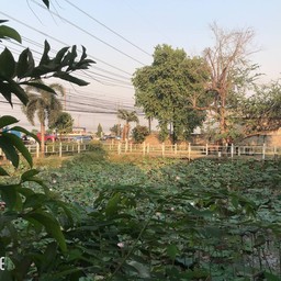 บรรยากาศดีมาก