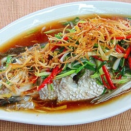 ปลากะพงนึ่งซีอิ๊ว