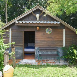 ควายฮับไม้ขาว