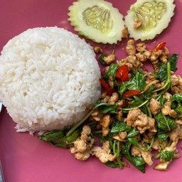ข้าวกะเพรา ไก่