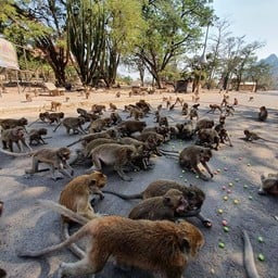 เขาหน่อเขาแก้ว