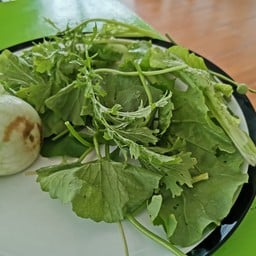 ข้าวราดแกงปักษ์ใต้ครัวคุณหญิง