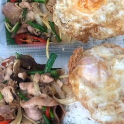 ผัดขิงหมู