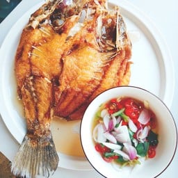 กะพงทอดเศรษฐี