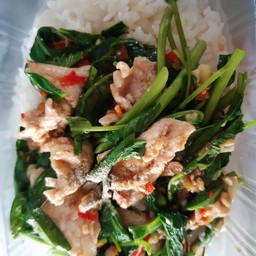 ผัดคะน้าหมู