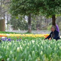 Wuhan Botanic Garden