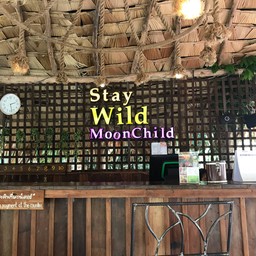 stay Wild