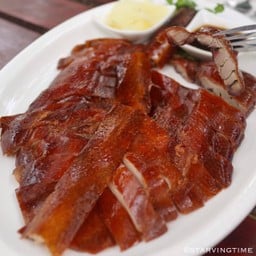 เป็ดกีตาร์