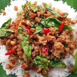 กระเพรา (ราดข้าว)