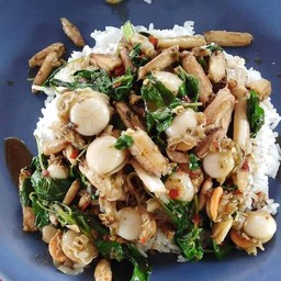 ข้าวราดกะเพราปูหอยเซลล์