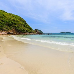 จาก Shutterstock