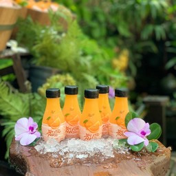 ส้มโสดโสด