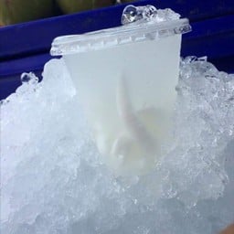 น้ำมะพร้าวสด