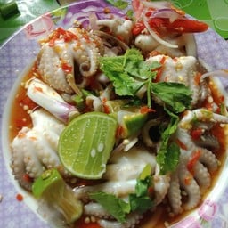 ยำหนวดหมึกสาย