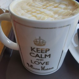 Mouse Rabbit