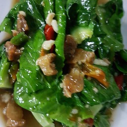 ผัดแขนงน้ำมันหอย