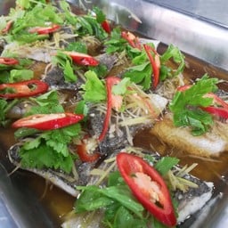 ร้านข้าวแกง ป้าเปิ้ล วัดศรีนวล