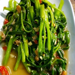ผักบุ้งไฟแดง