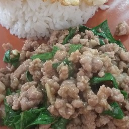 ข้าวราดกะเพรา หมูสับ