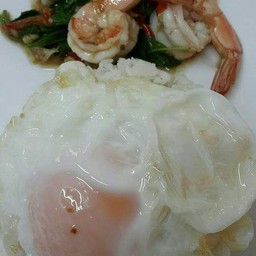 ข้าวราดกะเพรา กุ้ง