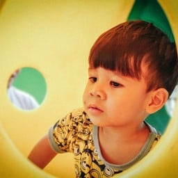 สวนสัตว์ค่ายสุรสีห์