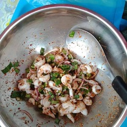 หนูเล็กลาบปีกปลาหมึก(ตลาด บกน.8)