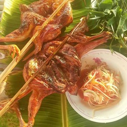 ไก่บ้านย่างเขา สวนกวางสุริยันต์ฟาร์ม