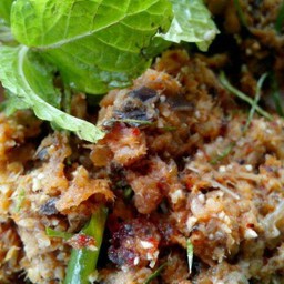 ลาบปลาดุก