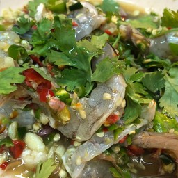 ยำกุ้งสด