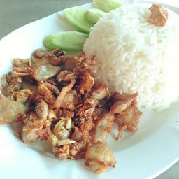 ทอดกระเทียมราดข้าว