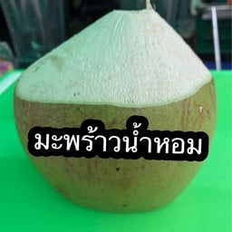 มะพร้าวเทวดา