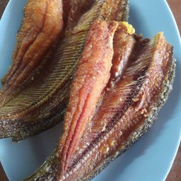 ปลาดุกทอดแดดเดียว