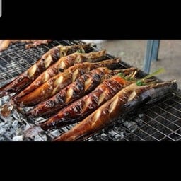 ปลาดุกย่าง